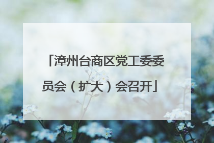 漳州台商区党工委委员会（扩大）会召开