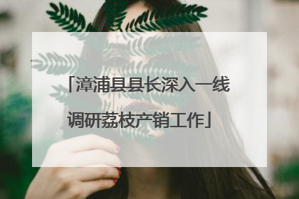 漳浦县县长深入一线调研荔枝产销工作