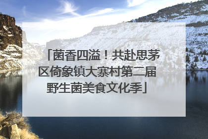 菌香四溢！共赴思茅区倚象镇大寨村第二届野生菌美食文化季