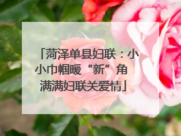 菏泽单县妇联：小小巾帼暖“新”角 满满妇联关爱情