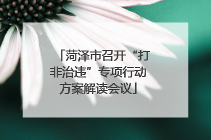 菏泽市召开“打非治违”专项行动方案解读会议