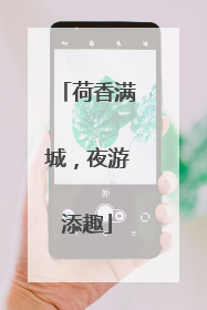 荷香满城，夜游添趣