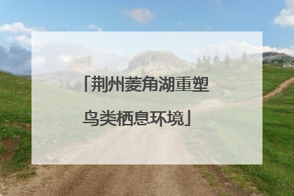 荆州菱角湖重塑鸟类栖息环境