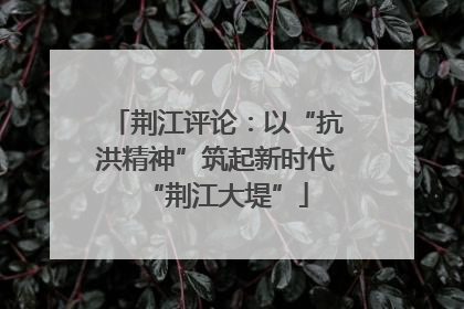 荆江评论：以“抗洪精神”筑起新时代“荆江大堤”