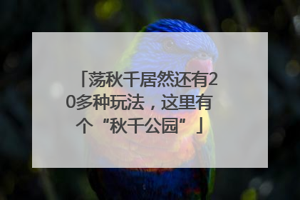 荡秋千居然还有20多种玩法，这里有个“秋千公园”