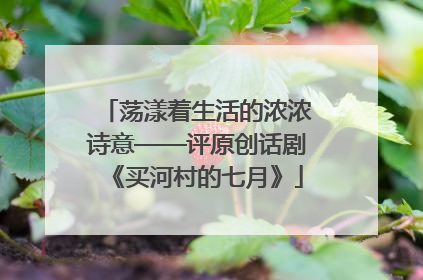 荡漾着生活的浓浓诗意——评原创话剧《买河村的七月》
