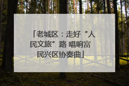 老城区：走好“人民文旅”路 唱响富民兴区协奏曲