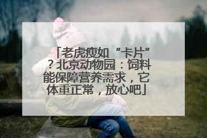 老虎瘦如“卡片”？北京动物园：饲料能保障营养需求，它体重正常，放心吧