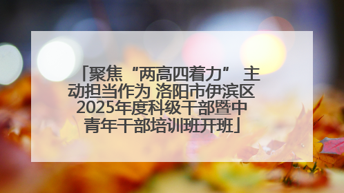 聚焦“两高四着力” 主动担当作为 洛阳市伊滨区2025年度科级干部暨中青年干部培训班开班