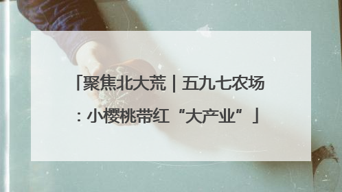 聚焦北大荒｜五九七农场：小樱桃带红“大产业”