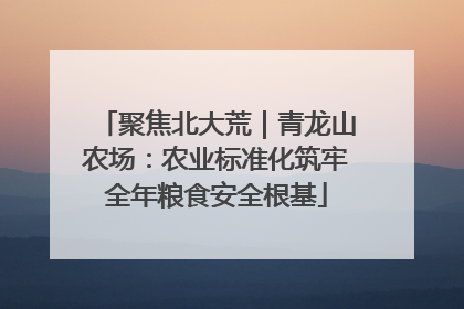 聚焦北大荒｜青龙山农场：农业标准化筑牢全年粮食安全根基