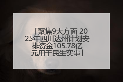聚焦9大方面 2025年四川达州计划安排资金105.78亿元用于民生实事