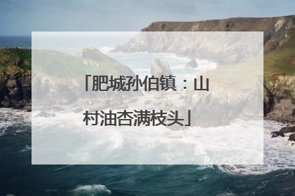肥城孙伯镇：山村油杏满枝头