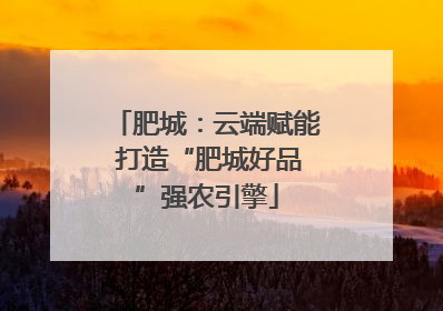 肥城：云端赋能 打造“肥城好品”强农引擎