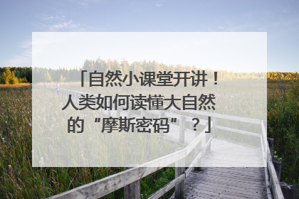 自然小课堂开讲！人类如何读懂大自然的“摩斯密码”？