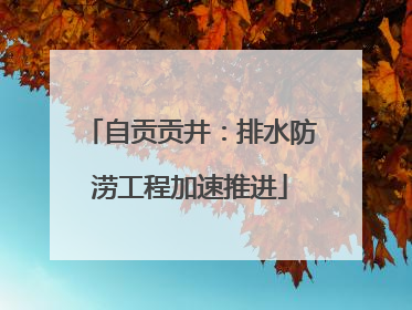 自贡贡井：排水防涝工程加速推进