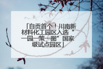 自贡首个！川南新材料化工园区入选“一园一策一图”国家级试点园区