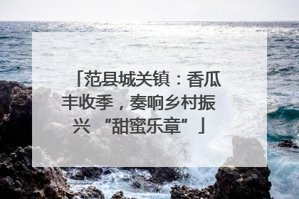 范县城关镇：香瓜丰收季，奏响乡村振兴 “甜蜜乐章”