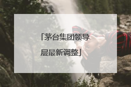 茅台集团领导层最新调整