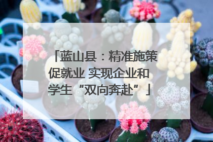 蓝山县：精准施策促就业 实现企业和学生“双向奔赴”