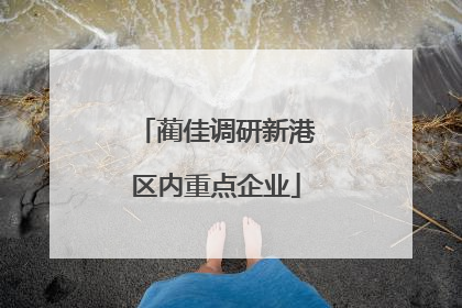 蔺佳调研新港区内重点企业