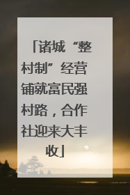 诸城“整村制”经营铺就富民强村路，合作社迎来大丰收