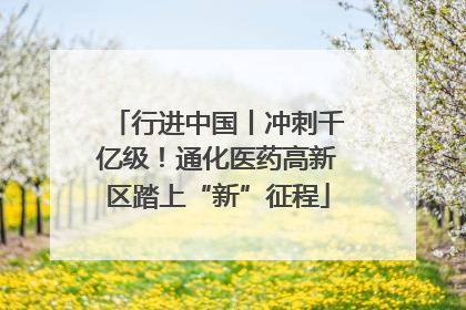 行进中国丨冲刺千亿级！通化医药高新区踏上“新”征程