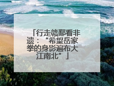 行走赣鄱看非遗：“希望岳家拳的身影遍布大江南北”
