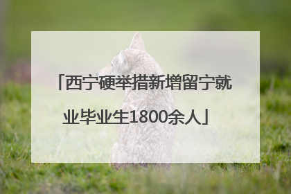 西宁硬举措新增留宁就业毕业生1800余人