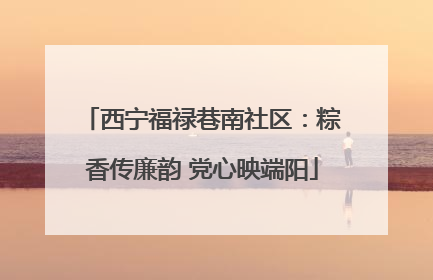 西宁福禄巷南社区：粽香传廉韵 党心映端阳
