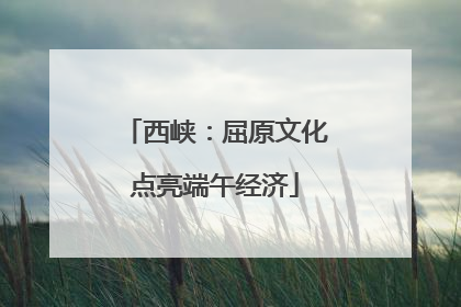 西峡：屈原文化点亮端午经济