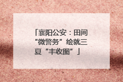 襄阳公安：田间“微警务”绘就三夏“丰收图”