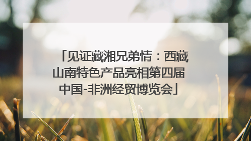 见证藏湘兄弟情：西藏山南特色产品亮相第四届中国-非洲经贸博览会