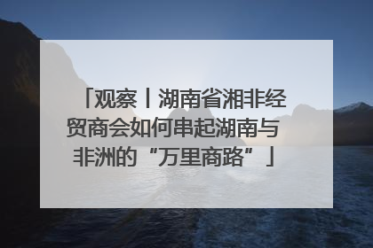 观察丨湖南省湘非经贸商会如何串起湖南与非洲的“万里商路”