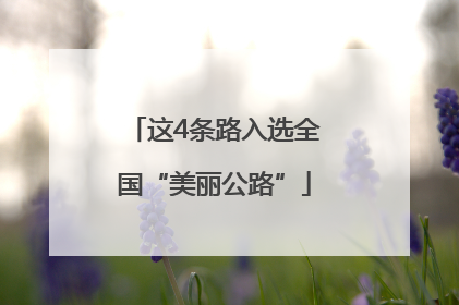 这4条路入选全国“美丽公路”