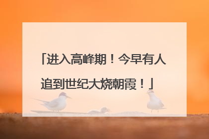 进入高峰期！今早有人追到世纪大烧朝霞！
