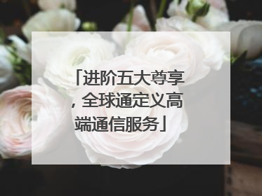 进阶五大尊享，全球通定义高端通信服务