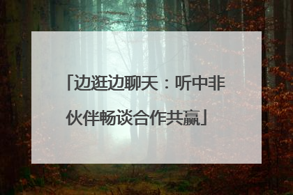边逛边聊天：听中非伙伴畅谈合作共赢