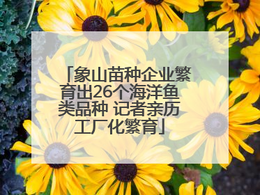 象山苗种企业繁育出26个海洋鱼类品种 记者亲历工厂化繁育