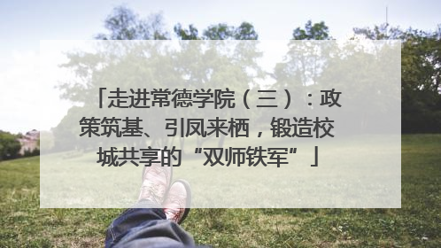走进常德学院（三）：政策筑基、引凤来栖，锻造校城共享的“双师铁军”