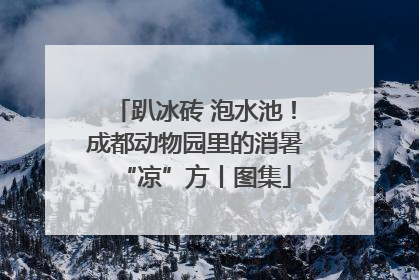 趴冰砖 泡水池！成都动物园里的消暑“凉”方丨图集
