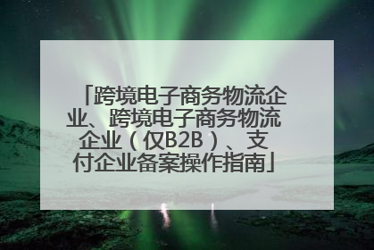 跨境电子商务物流企业、跨境电子商务物流企业（仅B2B）、支付企业备案操作指南