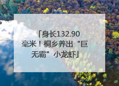 身长132.90毫米！桐乡养出“巨无霸”小龙虾