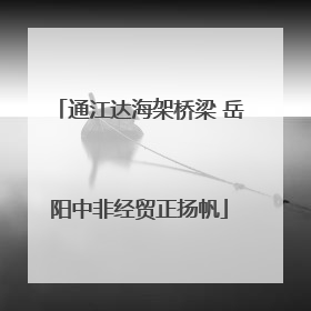 通江达海架桥梁 岳阳中非经贸正扬帆
