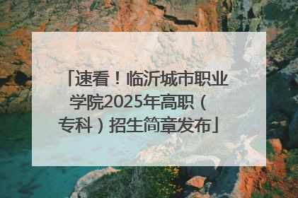 速看！临沂城市职业学院2025年高职（专科）招生简章发布