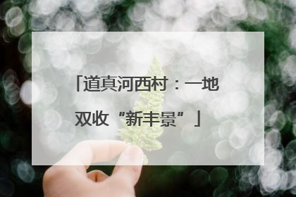 道真河西村：一地双收“新丰景”