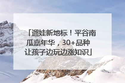 遛娃新地标！平谷南瓜嘉年华，30+品种让孩子边玩边涨知识