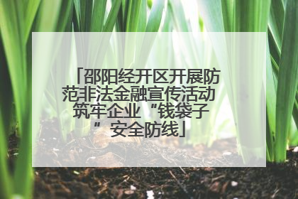 邵阳经开区开展防范非法金融宣传活动 筑牢企业“钱袋子”安全防线