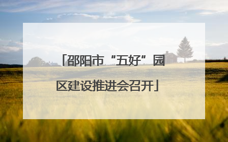 邵阳市“五好”园区建设推进会召开