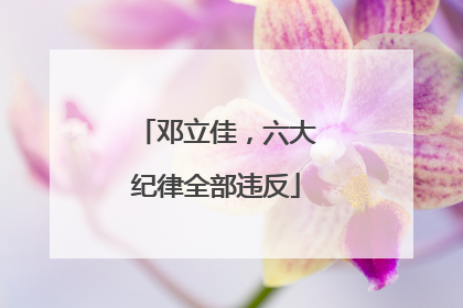 邓立佳，六大纪律全部违反